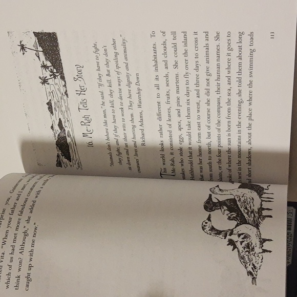 Dragon Rider Paperback Books 1 and 2 - Picture 10 of 16